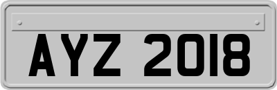 AYZ2018
