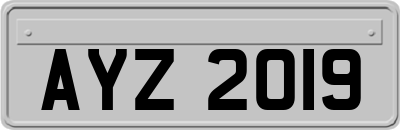 AYZ2019