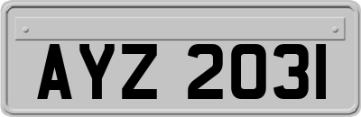 AYZ2031