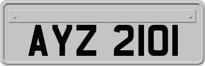 AYZ2101