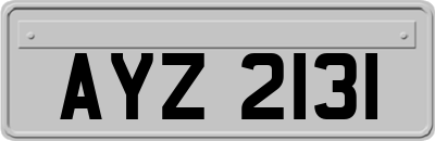 AYZ2131