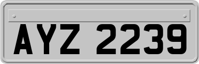 AYZ2239