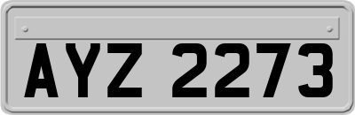 AYZ2273