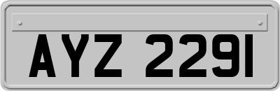 AYZ2291