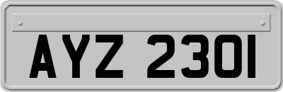 AYZ2301