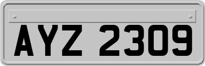 AYZ2309