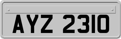 AYZ2310