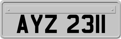 AYZ2311