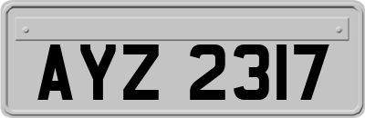 AYZ2317