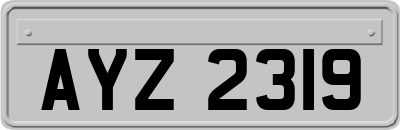AYZ2319