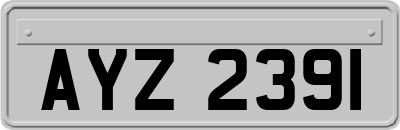 AYZ2391