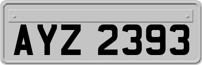 AYZ2393