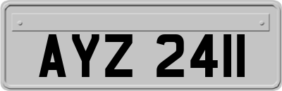 AYZ2411