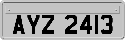 AYZ2413