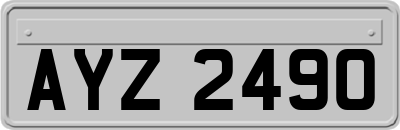 AYZ2490