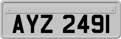 AYZ2491