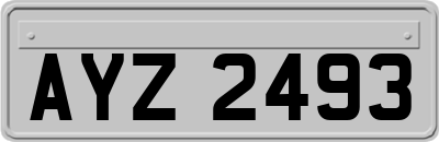 AYZ2493