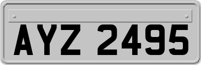 AYZ2495
