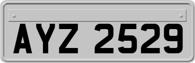 AYZ2529