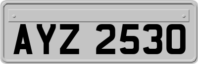 AYZ2530