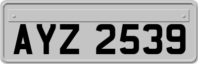 AYZ2539