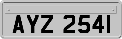 AYZ2541