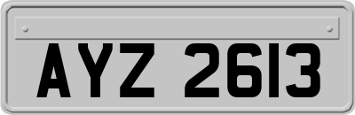 AYZ2613