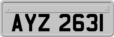 AYZ2631