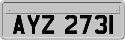 AYZ2731
