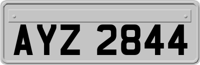 AYZ2844