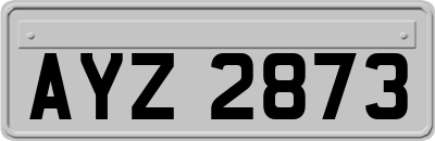 AYZ2873