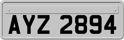 AYZ2894