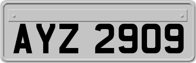 AYZ2909