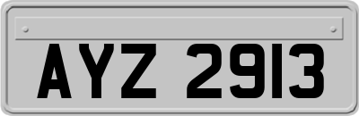 AYZ2913