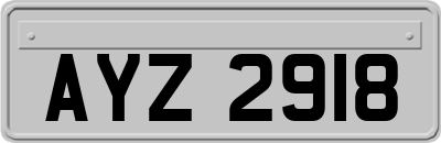 AYZ2918