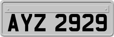 AYZ2929