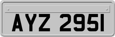 AYZ2951