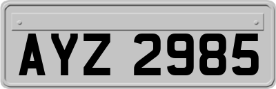 AYZ2985