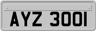 AYZ3001