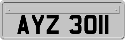 AYZ3011