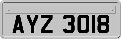 AYZ3018