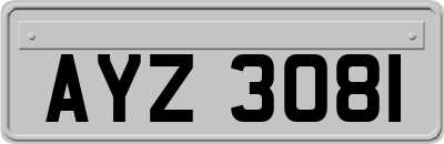 AYZ3081