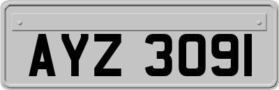 AYZ3091