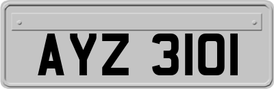 AYZ3101