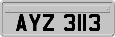 AYZ3113