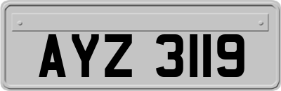 AYZ3119