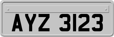 AYZ3123