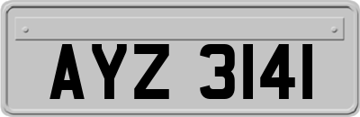AYZ3141