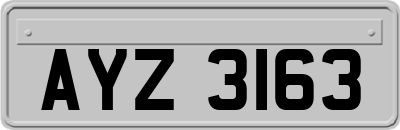 AYZ3163