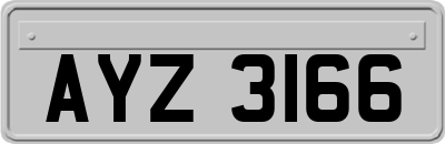 AYZ3166